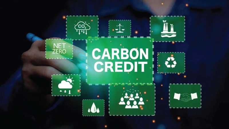 Carbon Credits